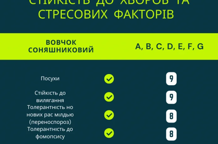 ФЕНІКС OR7- фото № 4