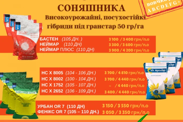 Соняшник- фото № 2