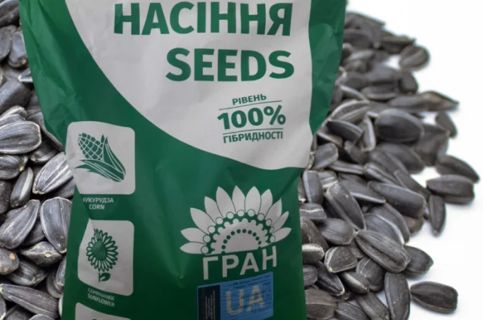 Соняшник- фото № 1