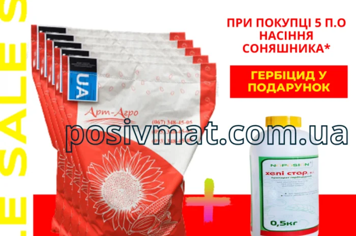 Акція! Насіння соняшника- фото № 1