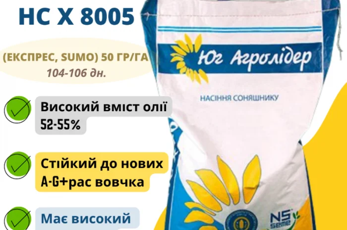 Насіння соняшника НС Х 8005 (Експрес- фото № 1