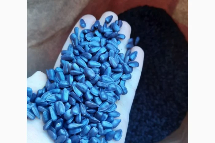 Насіння соняшника гібрид ФЕНІКС OR7+, Україна. Під гранстар 50 гр- фото № 5