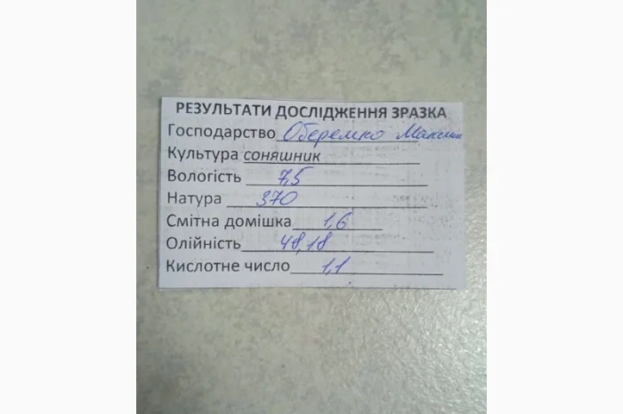 Продам соняшник- фото № 1