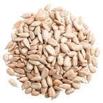 Куплю лущене насіння соняшника- фото № 1