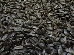 Продам Соняшник- фото № 1