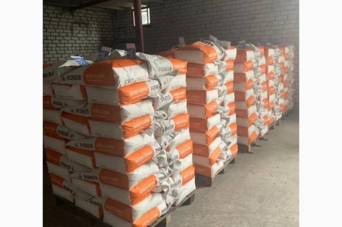 ЗНИЖКИ на НАСІННЯ згідно курсу $ попереднього року 22рік врожаю- фото № 3