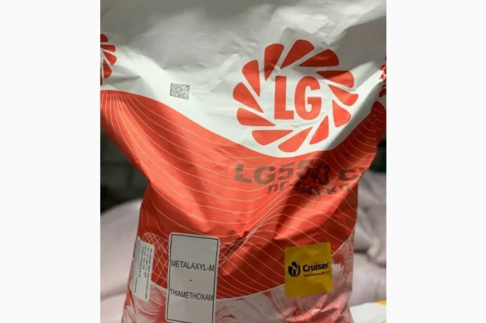 Насіння соняшнику від Лімагрейн 2022рік врожаю- фото № 1