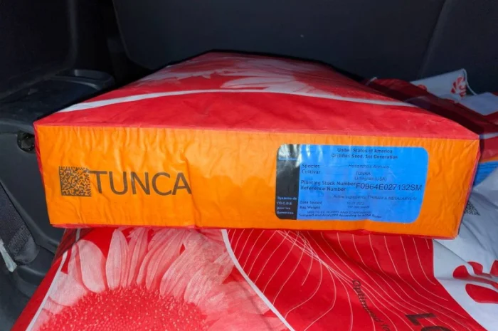 Насіння соняшнику від Лімагрейн 2022рік врожаю- фото № 2