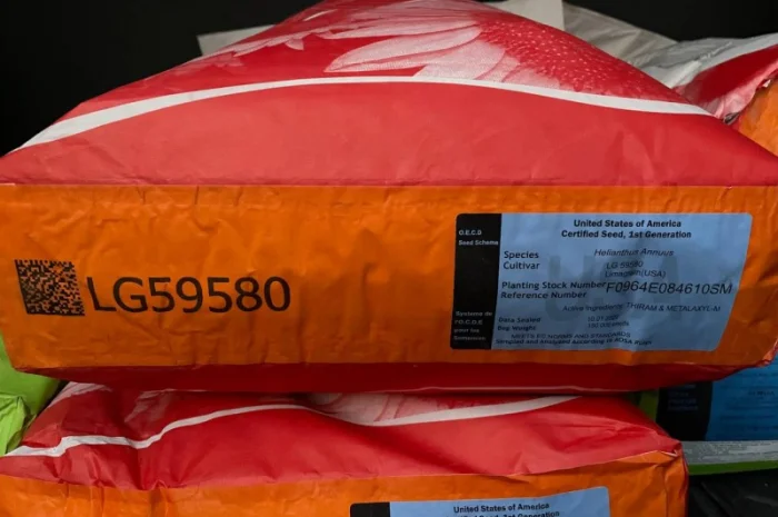 Насіння соняшнику від Лімагрейн 2022рік врожаю- фото № 5