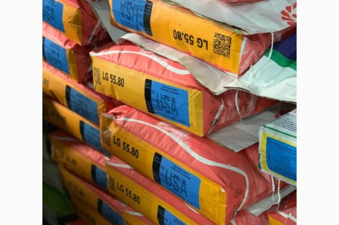 Насіння соняшнику від Лімагрейн 2022рік врожаю- фото № 6