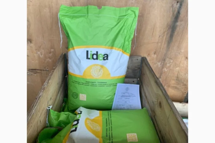 Насіння соняшнику Лідеа (Євраліс) оригінал 2022рік врожаю- фото № 8