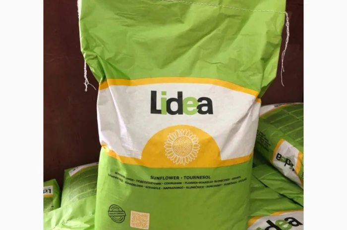 Насіння соняшника Лідеа ЄС Белла Євраліс Іспанія оригінал 2022рік врожаю- фото № 1