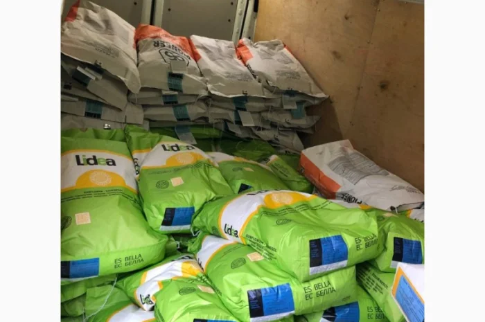 Насіння соняшника Лідеа ЄС Белла Євраліс Іспанія оригінал 2022рік врожаю- фото № 2