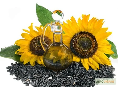 Куплю Подсолнечник.Соняшник- фото № 1