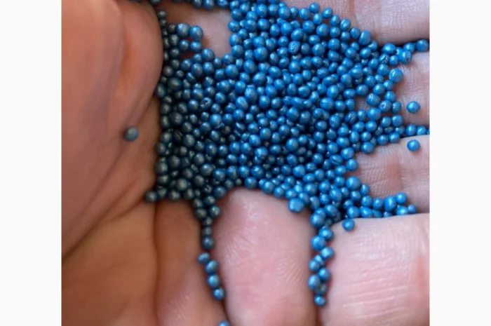 Насіння озимого ріпаку Бревант ПТ 275 (BREVANT PT275) в Тернополе- фото № 4