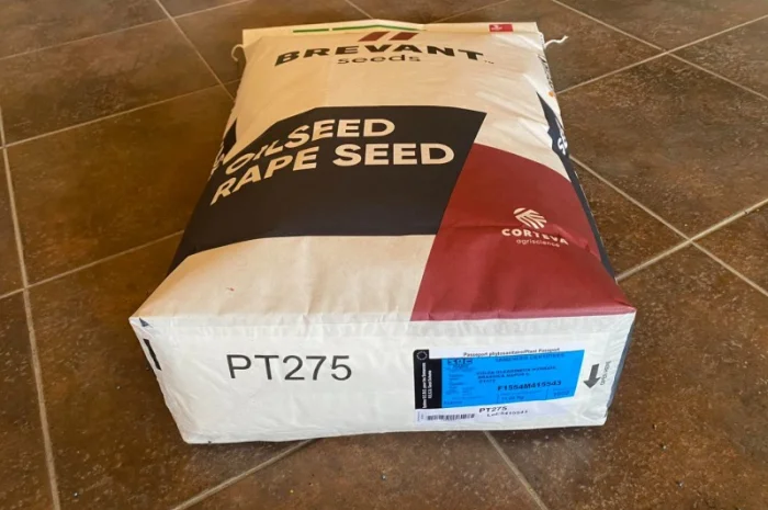 Насіння озимого ріпаку Бревант ПТ 275 (BREVANT PT275) в Тернополе- фото № 2