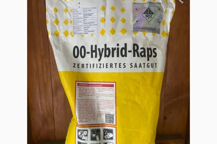 Насіння озимого ріпаку Акіла – високоврожайний та стійкий до хвороб- фото № 1