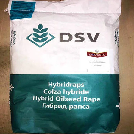 Принц - насіння озимого ріпаку нового покоління від DSV- фото № 1