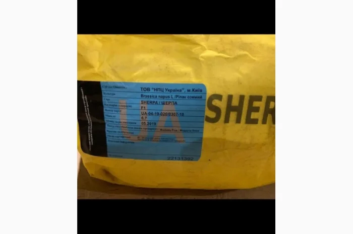 Продаж насіння ріпаку від постачальника, 100 тонн, ціна договірна- фото № 5