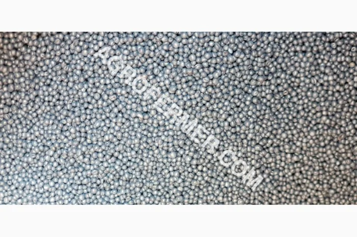 Семена рапса LAMAR с высоким потенциалом урожайности- фото № 1