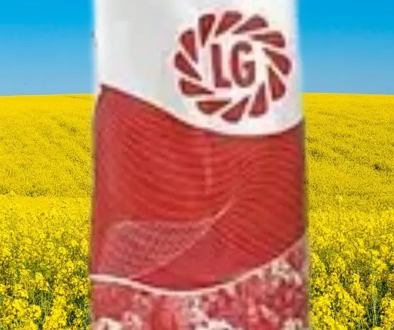 Насіння озимого ріпаку Архітект від виробника Limagrain- фото № 1