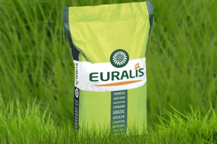 Насіння озимого ріпаку ЄС Гідромель від Euralis- фото № 1