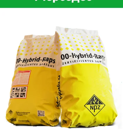 Насіння озимого ріпаку МЕРСЕДЕС – висока врожайність- фото № 1