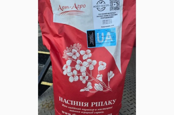Насіння озимого ріпаку гібрид Ламбер (Classic) в продажу- фото № 3