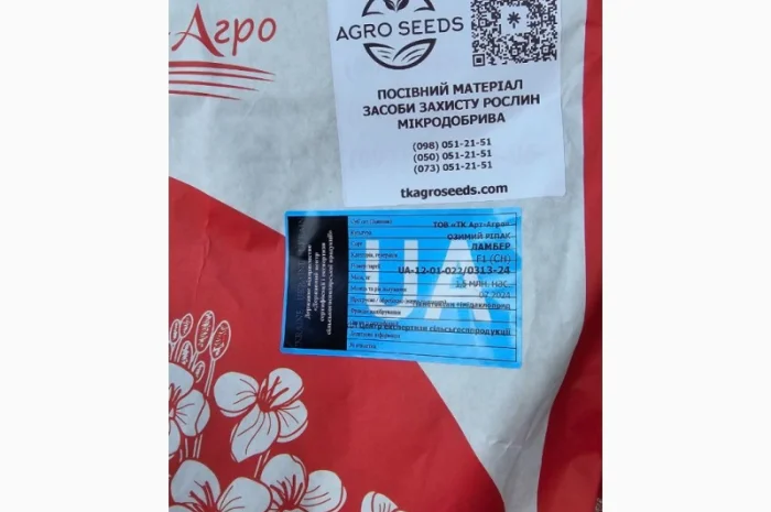 Озимий ріпак Ламбер - високоврожайний сорт- фото № 1