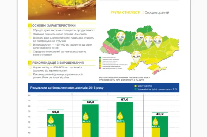 Насіння озимого ріпаку СІ Савео «Сингента» (Syngenta)- фото № 2