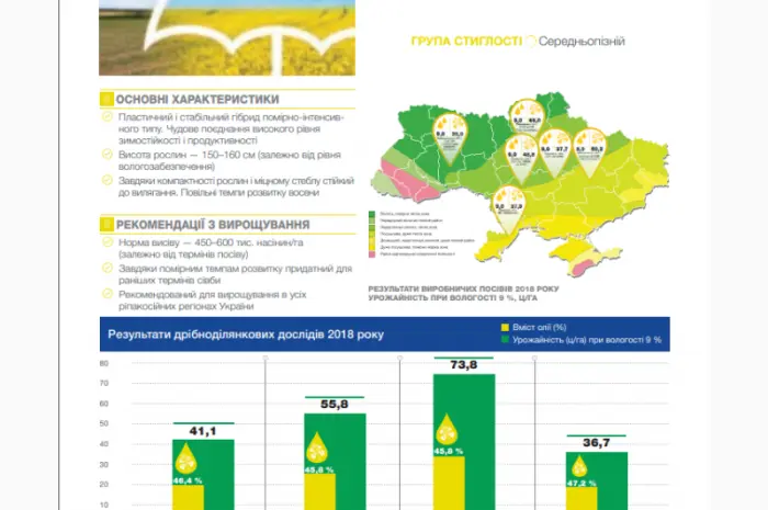 Насіння озимого ріпаку СІ Мартен «Сингента» (Syngenta)- фото № 1