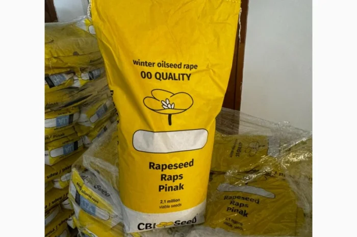 Насіння озимого ріпаку гібрид ТОМ- фото № 2