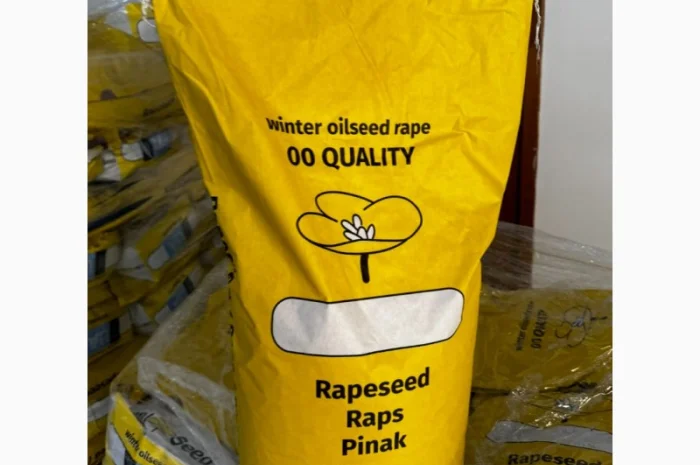 Насіння озимого ріпаку гібрид ТОМ- фото № 3