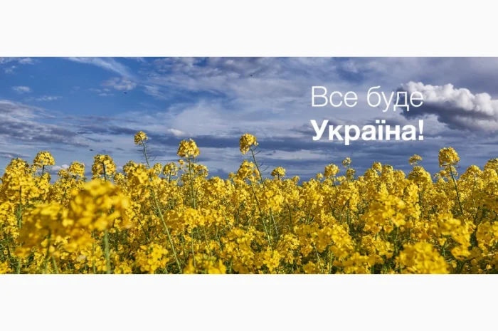 Насіння ріпаку озимого гібрид Халк- фото № 1