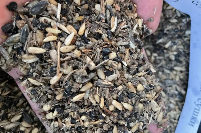 Куплю отходы семечки на постоянной основе любые обьемы. самовывоз- фото № 1