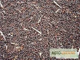 Закупаем отходы рапса- фото № 1