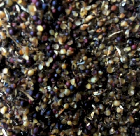 Закупаем отход рапса- фото № 1