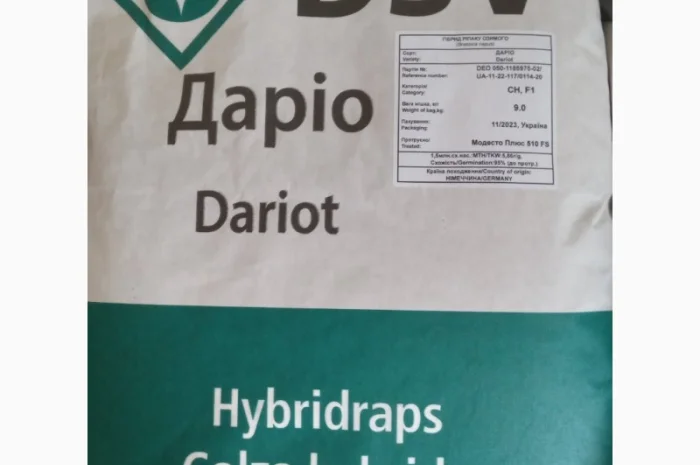 Продаємо насіння озимого ріпаку- фото № 1