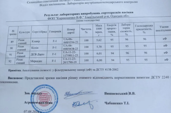 Продаємо насіння озимого ріпаку- фото № 3