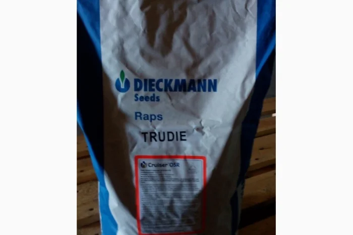 Ріпак Труді- фото № 1