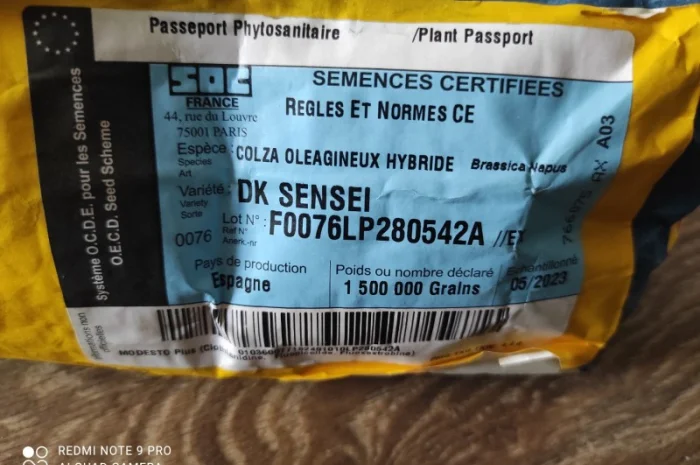 Продам насіння ріпаку- фото № 1