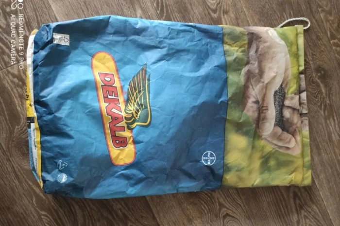 Продам насіння ріпаку- фото № 2