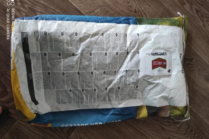 Продам насіння ріпаку- фото № 3