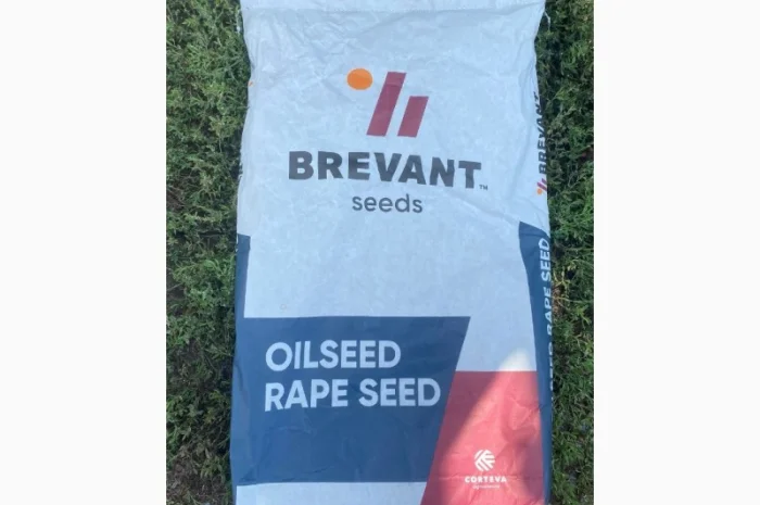 Насіння ріпаку BREVAND PT275- фото № 1