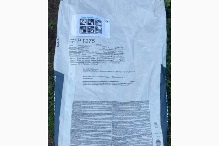 Насіння ріпаку BREVAND PT275- фото № 2