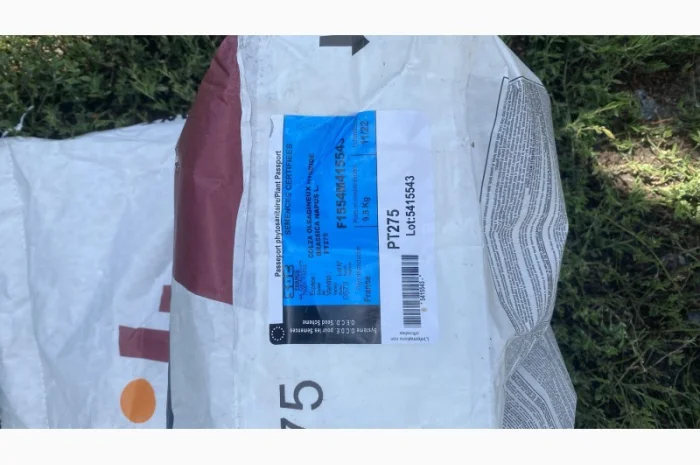 Насіння ріпаку BREVAND PT275- фото № 4