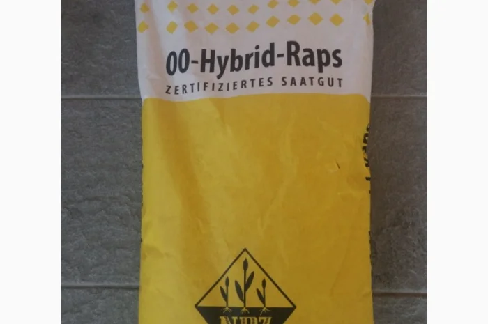 Семена рапса Лембке Висби, Мерседес (Lembke Visbi, Mercedes)- фото № 1