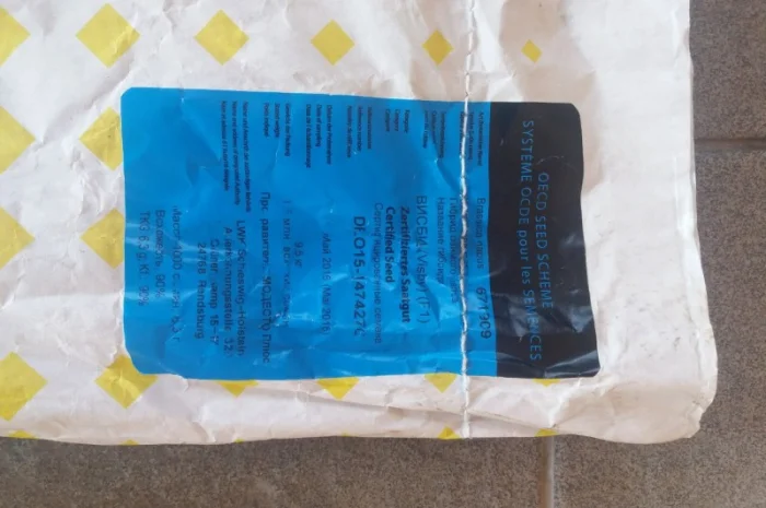 Семена рапса Лембке Висби, Мерседес (Lembke Visbi, Mercedes)- фото № 3