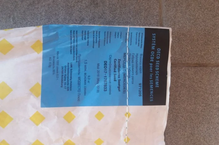 Семена рапса Лембке Висби, Мерседес (Lembke Visbi, Mercedes)- фото № 5