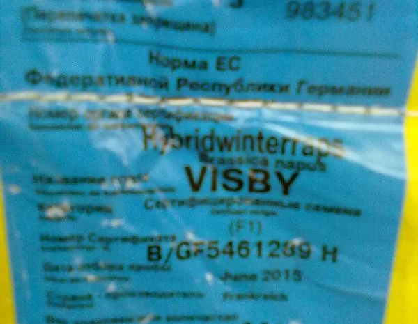 Семена рапса Лембке Висби (Lembke Visby)- фото № 3